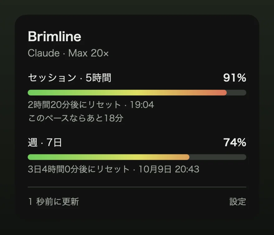 セッションのバーが 91% で赤く塗られ、現在のペースで上限があとどれだけもつかを示す行があるパネル。